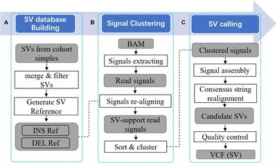 PanSVR: Pan-Genome Augmented Short Read Realignment for Sensitive Detection of Structural Variations